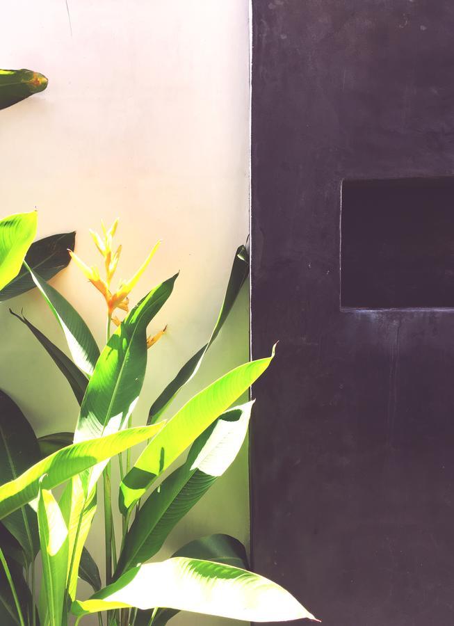 Swell Hotel
