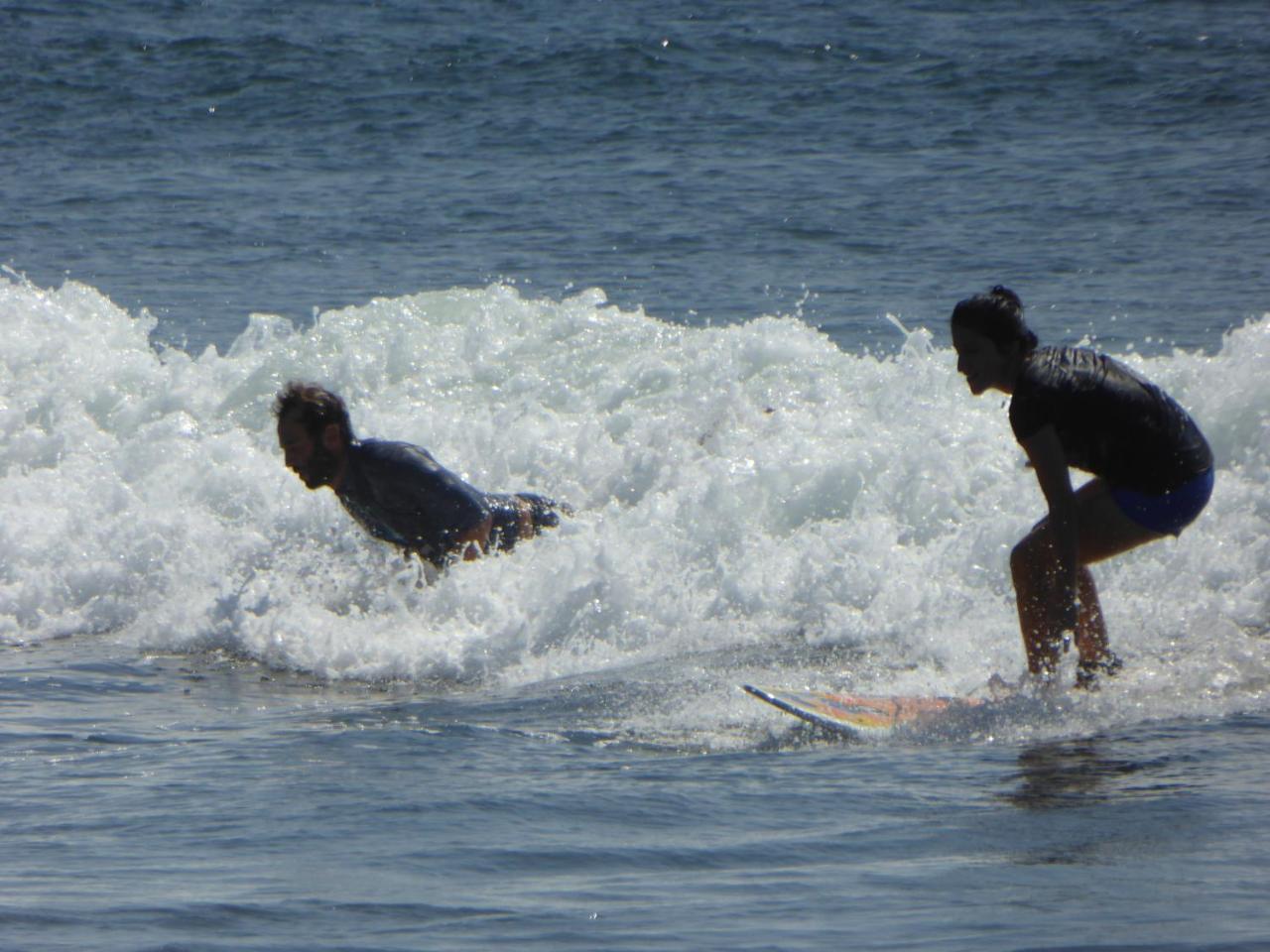 Hotel Swell El Paredon Buena Vista